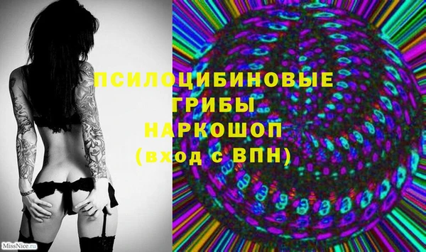 ПСИЛОЦИБИНОВЫЕ ГРИБЫ Дегтярск